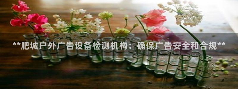 杏宇平台总代理电话：**肥城户外广告设备检测机构：确保广告安全和合规**